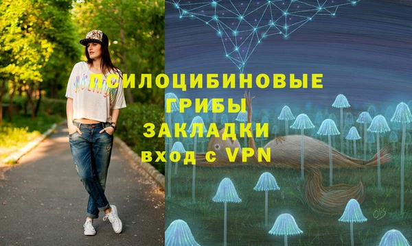 герыч Арсеньев