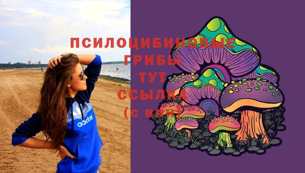 герыч Арсеньев
