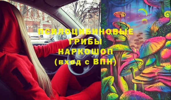 герыч Арсеньев