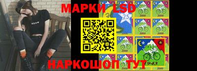 крисы Можга