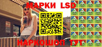 крисы Можга