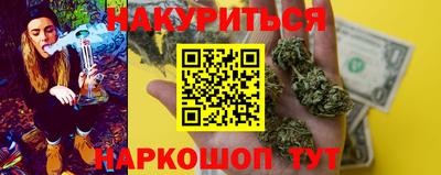 крисы Можга
