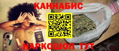 крисы Можга