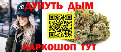 крисы Можга