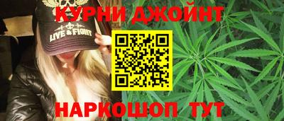крисы Можга