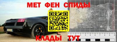 крисы Можга