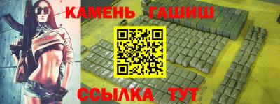 крисы Можга