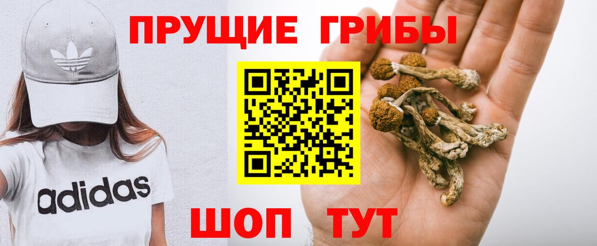 Волгодонск  Галлюциногенные грибы Cubensis  Вход с VPN 